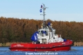 Bison (KK-241116-3).jpg