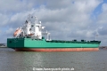 Arklow Willow (OK-100426-2).jpg