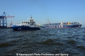 CMA CGM Alexander von Humboldt 280513-74.jpg