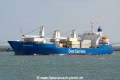 Crown Sapphire SH-230624-01.jpg