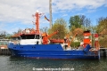 Clupea (KB-D150414-01).jpg