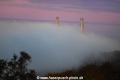 Nebel+Schornsteine 31116.jpg