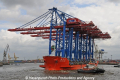 Zhen Hua 23 200610-38.jpg