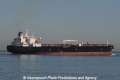 Koa Spirit OS-210110-07.jpg