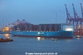 Ane Maersk 280324-13.jpg