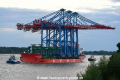 Zhen Hua 20 140816-07.jpg