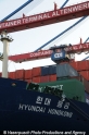 Container-Deck 13108-06.jpg