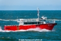 SC Opal SH-120725-01.jpg
