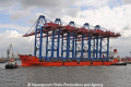 Zhen Hua 23 200610-35.jpg