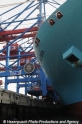 CTB-Hamburg+Maersk-Con 81010.jpg