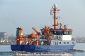 Clupea (OK-210312-4).jpg