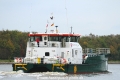 Rix Lion JB-231014-03.jpg