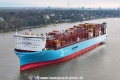 Ane Maersk MSchi-300324-5.jpg