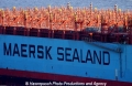 Maersk Sealand Logo 17904.jpg