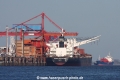 Buetzfleth-Erzterminal (SW-060311).jpg