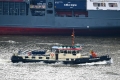 Deepenschriewer 2 270516.jpg