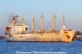 Cassiopea (OK-250313-1).jpg