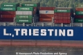 L Triestino Logo Cortesia 26505.jpg