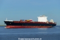 America (KK-020620-1).jpg