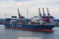 CMA CGM Argentina 100819-04.jpg