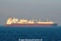 Al Rekayyat OS-240111-15.jpg