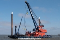 Wal SH-070623-01.jpg