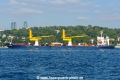 Alegria (OK-260826-1).jpg