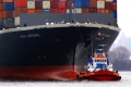 ZP Caymus NYK Artemis 12303.jpg