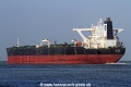 DHT Ann SH-230116-02.jpg