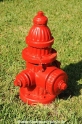 Hydrant-Florida-USA 120409-03.jpg