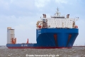 Xin Yao Hua (MM-240324-1).jpg
