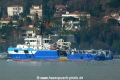 Bourbon Petrel (OK-140214-6).jpg