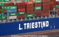 L Triestino Logo Cortesia 25505-1.jpg