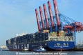 CMA CGM Alexander von Humboldt 280513-91.jpg