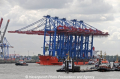 Zhen Hua 23 200610-29.jpg