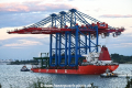 Zhen Hua 20 140816-20.jpg