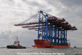 Zhen Hua 23 200610-25.jpg