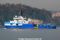 Bourbon Petrel (OK-140214-2).jpg