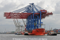 Zhen Hua 23 200610-41.jpg