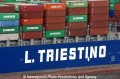 L Triestino Logo Cortesia 25505-2.jpg
