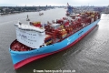 Ane Maersk MSchi-300324-2.jpg