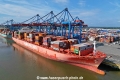 Santa Catarina (KB-D310525-02).jpg