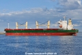 Scoter (OK-070525-5).jpg