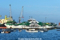 Sea Star 1 150225-02.jpg