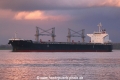 Elbabe TL-280417-2.jpg