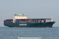 Ever Safety JG-231017-01.jpg