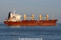 Seahorse JG-270325-3.jpg