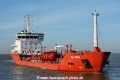 Feo Swan (MB-080315-04).jpg