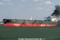 Seagurdian SH-160225-01.jpg