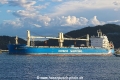Cosco Shipping Grace RV-050323-01.jpg